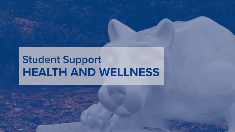 Student Support: Health and Wellness